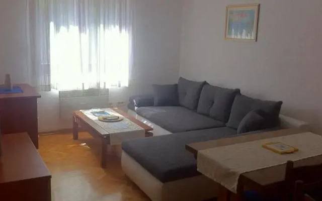 Apartment Goran