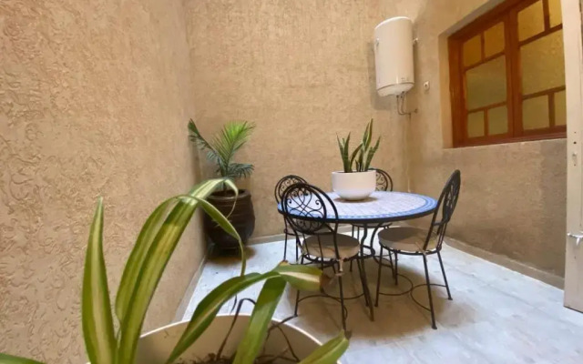 Cycas Family Aparts -Fibre Optique-
