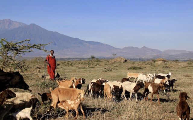 Osiligilai Maasai Lodge