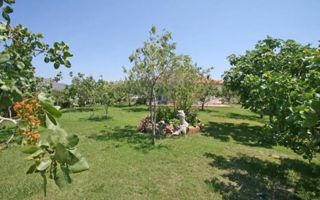 Villa Eleana