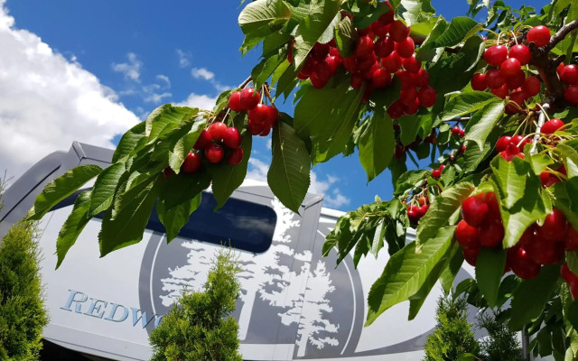 The Orchard at Oliver