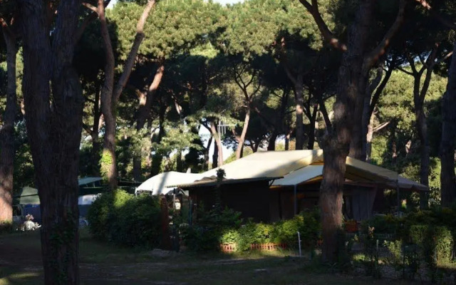 Parco Della Gallinara