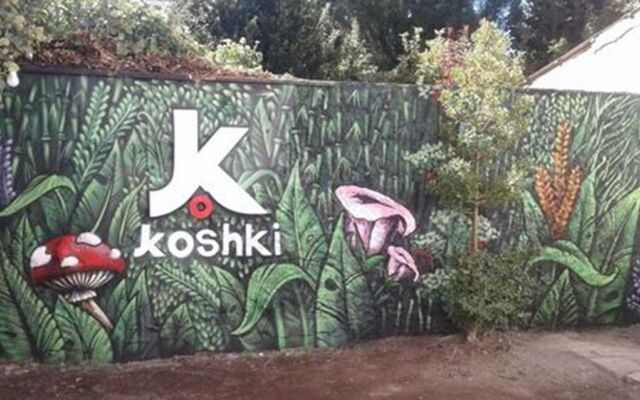 Hostel Kosh