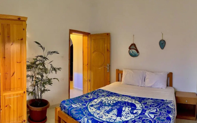 Palma Oasis Hostel
