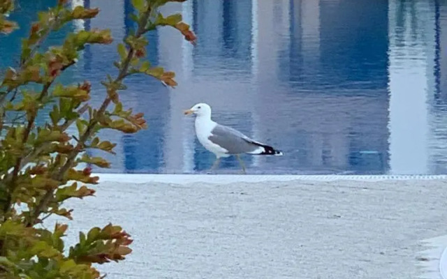 Studio in MarinaVille Complex