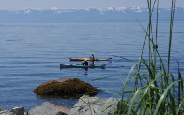 Blitz Beach House Oceanside Suite