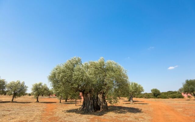 Eumelia Organic Agrotourism Farm & Guesthouse