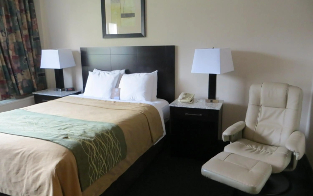 Comfort Inn & Suites Downtown Edmonton