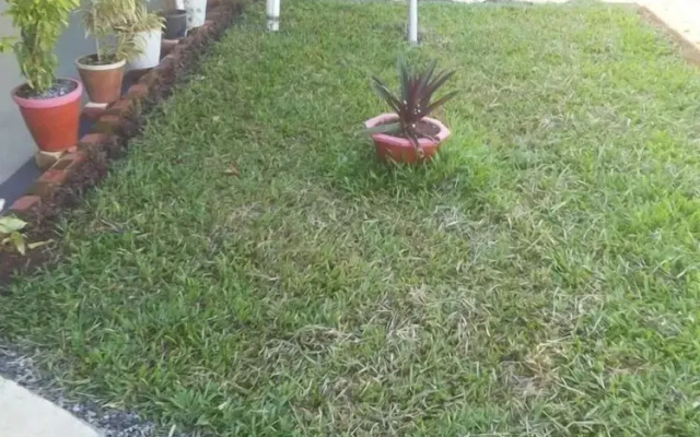 Nature Villa