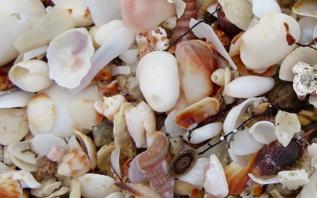 Playa Encanto Scenic Gem Ocean Front Home