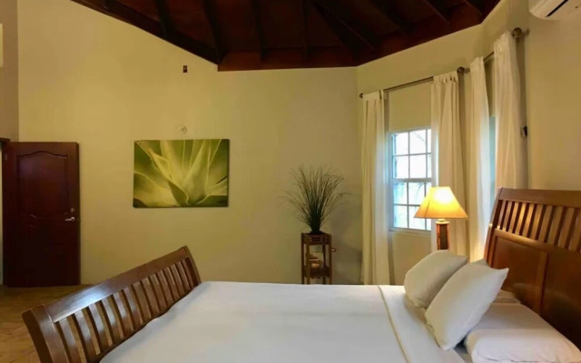 Euphoria at Paradisiac Beach Club