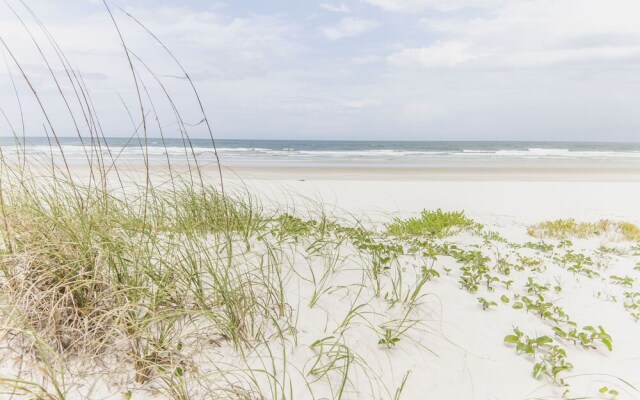 Turtle Paradise by Vtrips