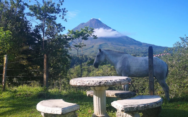 Hotel Arenal Palace