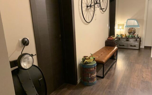 Suite Lame 37