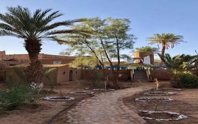 Locals Under Stars Trips