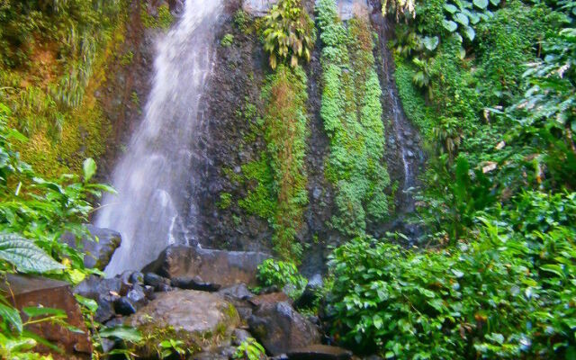 Richmond Vale Diving and Hiking Center - Hostel