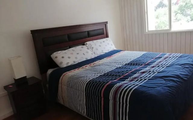 Wild Santiago Hostel