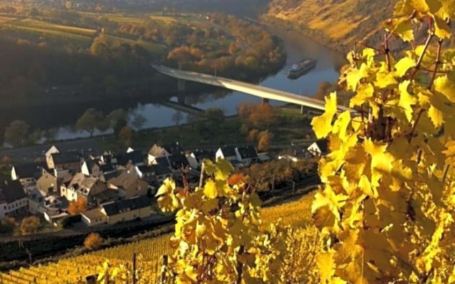 Gästezimmer im Weingut Amlinger&Sohn
