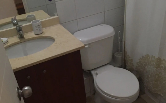 Vivir en Santiago - Bellavista