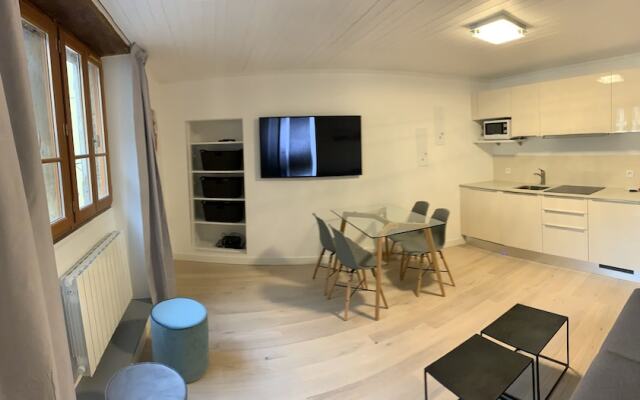 Appartement Le Curt Annecy Vieille Ville