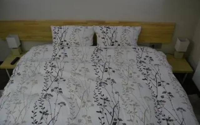 Viesu nams Raibais Asaris