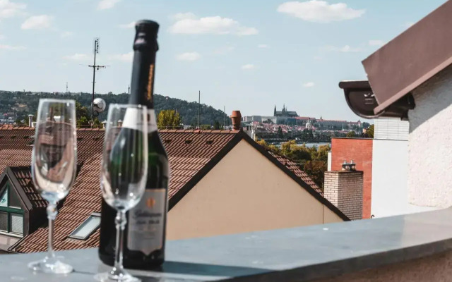 POINT flat, beautiful view from terrace to Prague Castle