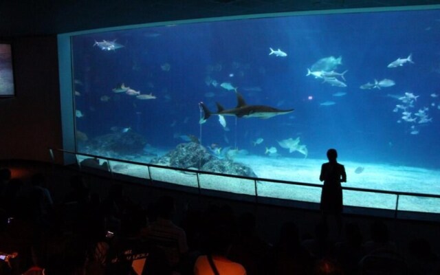 Taiwan Dive Resort - Hostel