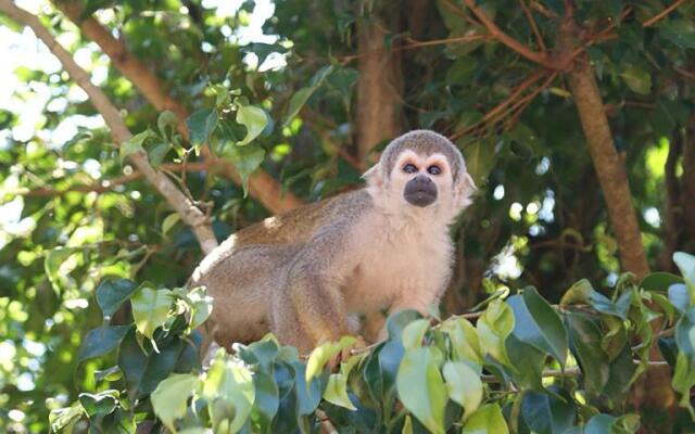 Yacuma Ecolodge