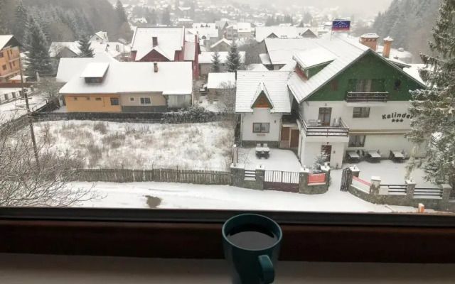 Apartament Andy Busteni 30 m de partie