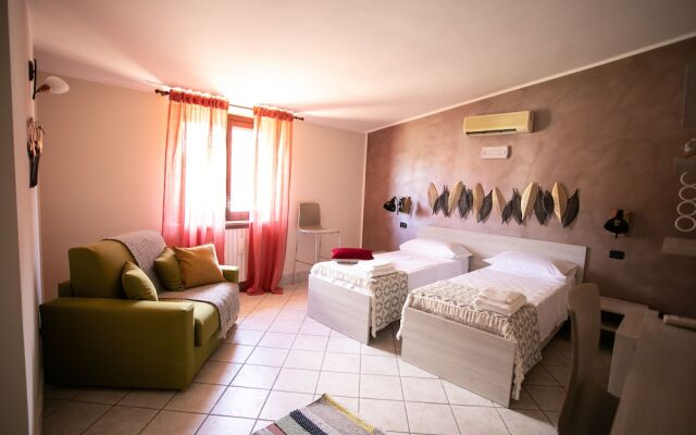 B&B Trepo