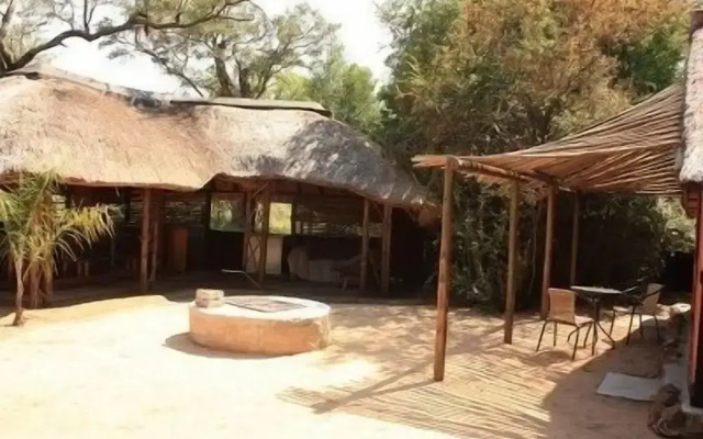 Offbeat Safaris