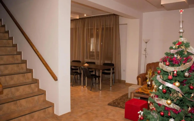 Cabana Andreea Telescaun