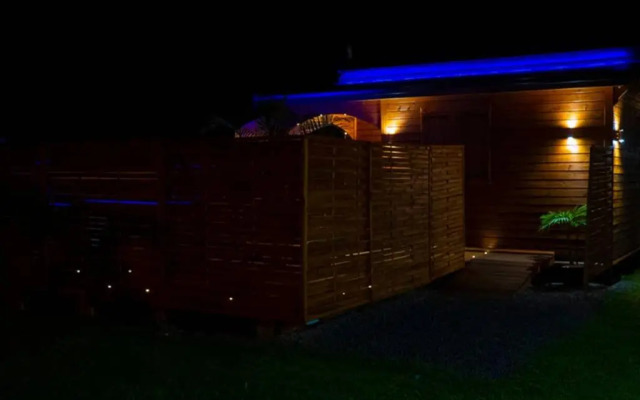 Live in Precious - Noubana Tona***