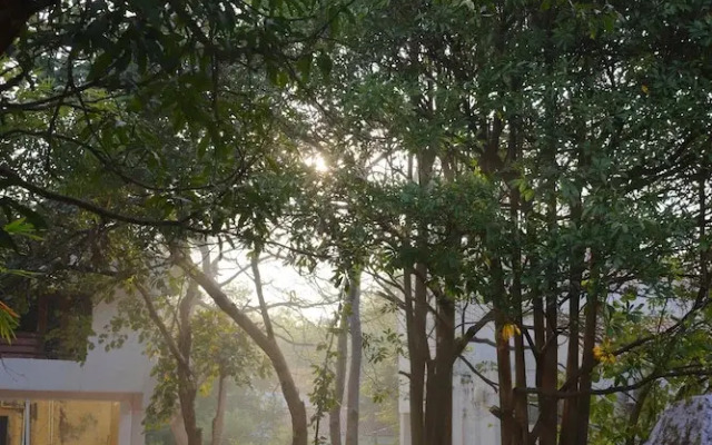 The Jungle Woods Resort