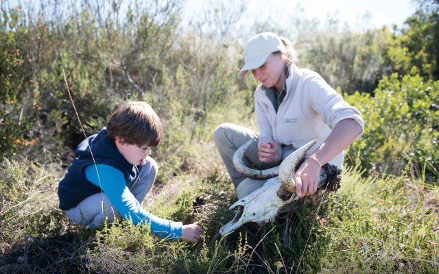 Gondwana Game Reserve