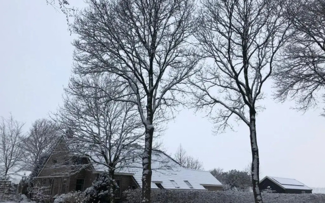 Bed & Breakfast Ter Borg