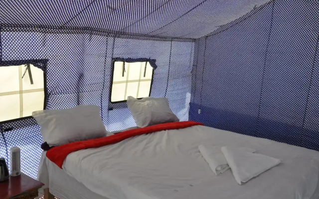 The Ladakh Camp