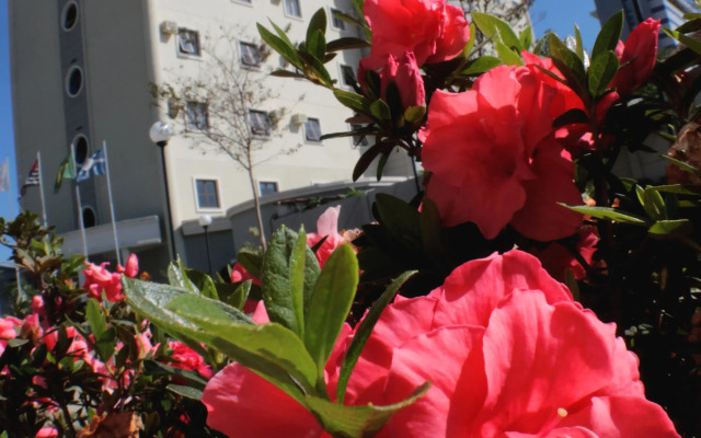 San Diego Express Aparecida