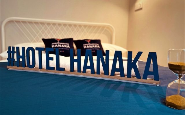 Hanaka on Avtozavodskaia 17k1