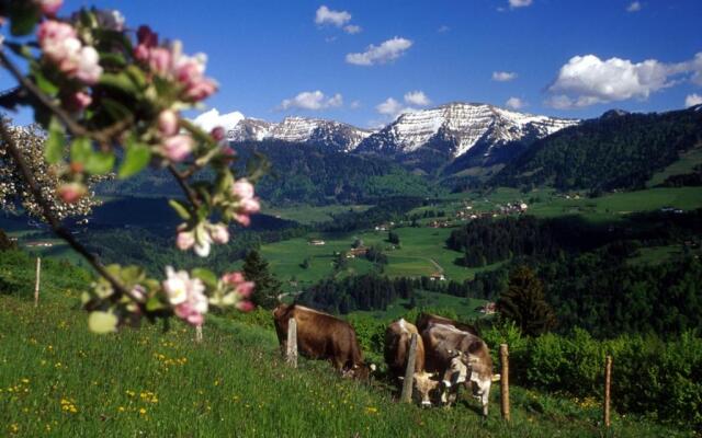 Fewo "allgäuphorie", Oberreute