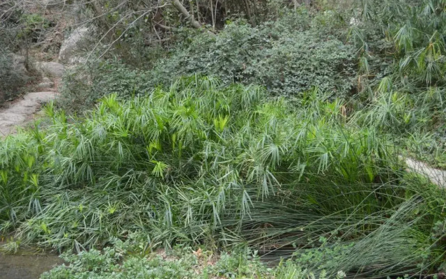 Apartamento Casa Rafa