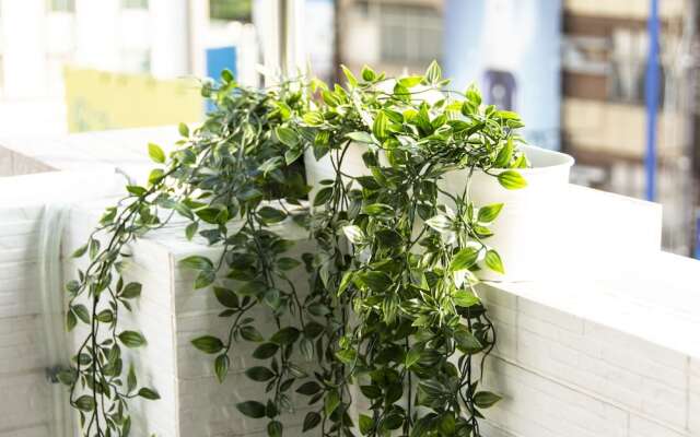 ioio Tainan Homestay