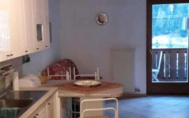 Le betulle - 022147-AT-050930