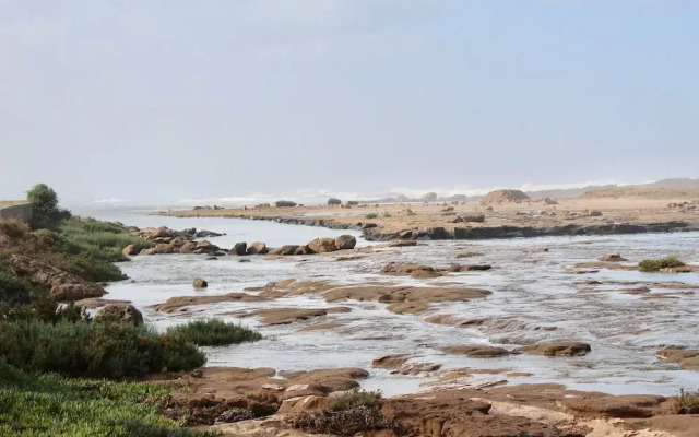 Aux Moules De Harhoura - Rabat