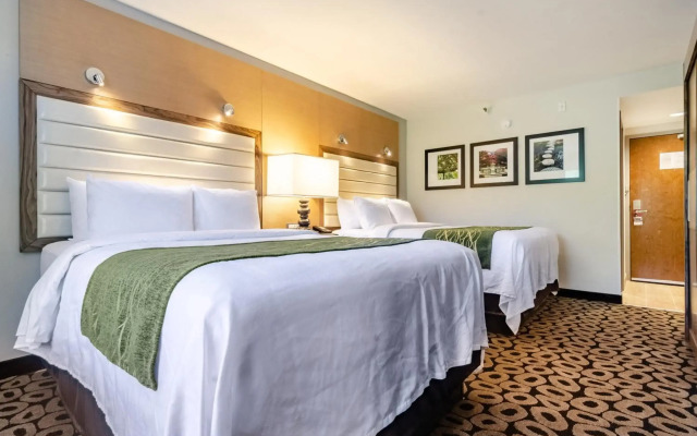 Comfort Inn Raleigh Midtown