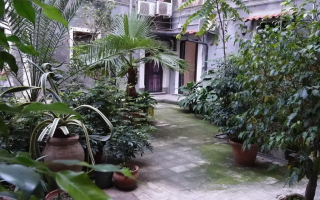 The House