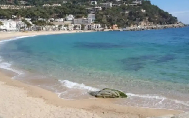 106155 - House in Llafranc