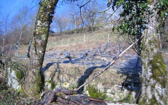 La Chouette à lheure du Pinson