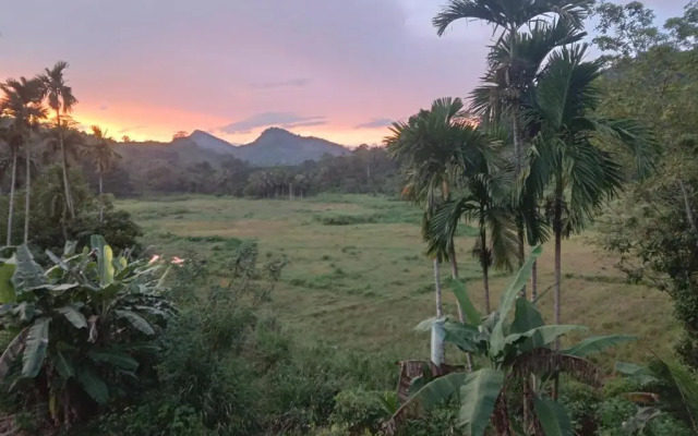 Rainforest Holiday Inn