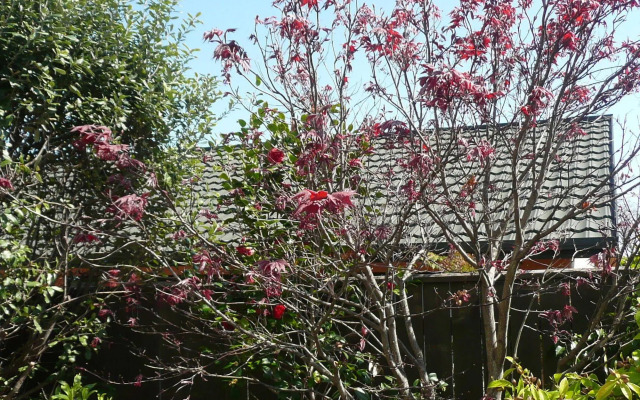 Kershaw House Boutique Accommodation